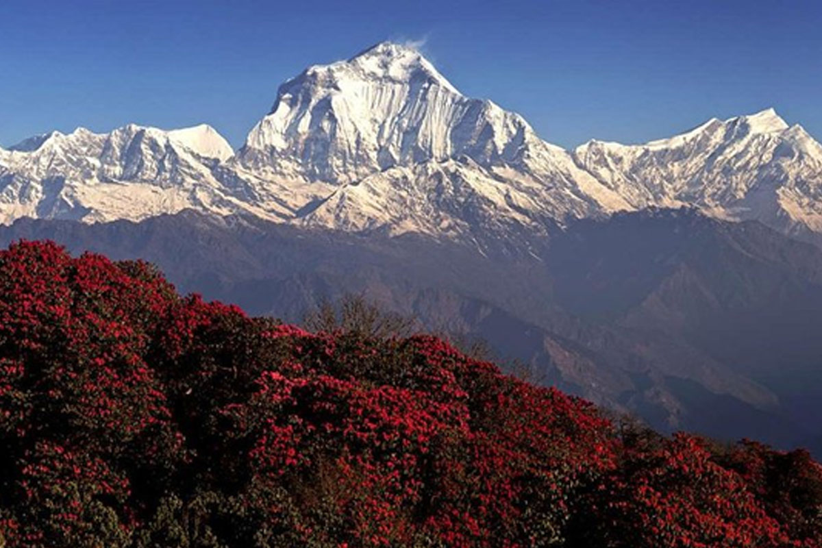 Ghorepani during Spring